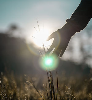 Image by Arya Praditya