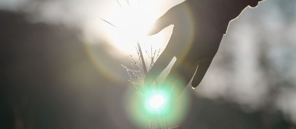 A Message to Light Bringers - February 11, 2022