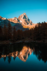 Image by Matteo Catanese