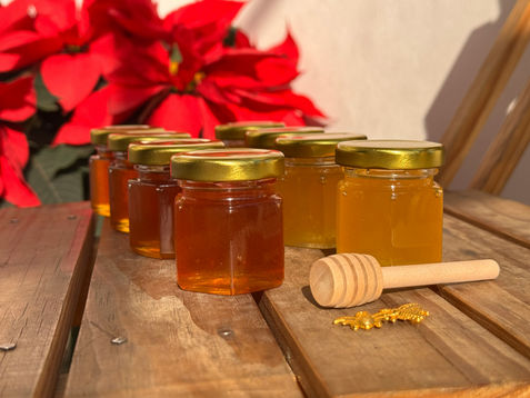 The Golden Elixir: How Honey Transforms Your Wellness Journey