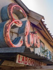 No Crown for the Music