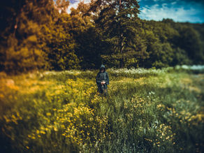 How to Practice Druidry Yourself