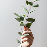 Image by Alex Lvrs