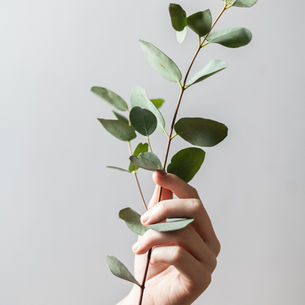 Stop Waiting to Start your Eco Journey: Simple Steps to go Green