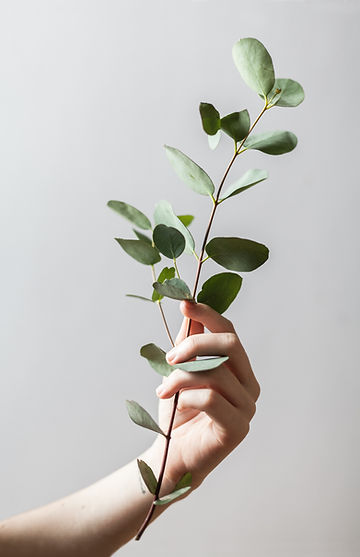 Image by Alex Lvrs