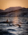Killer Whales
