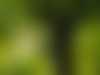 Azets Defies Global ESG Retreat With Greater Investment