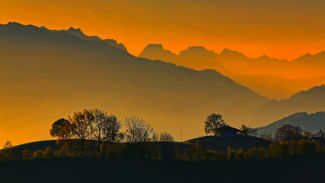 Hope in A Weary Throat