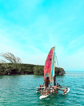 Image by Nathan Shurr