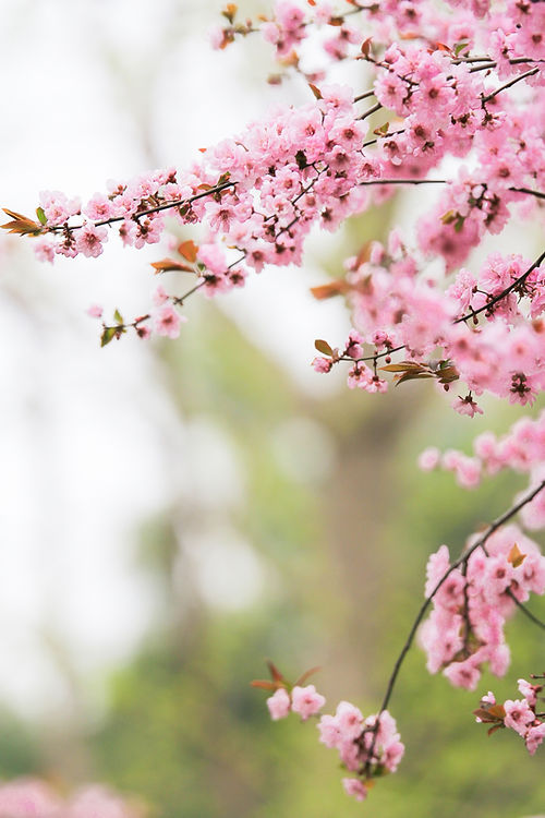 Image by Hunt Han