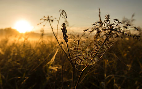 Image by Jan Huber