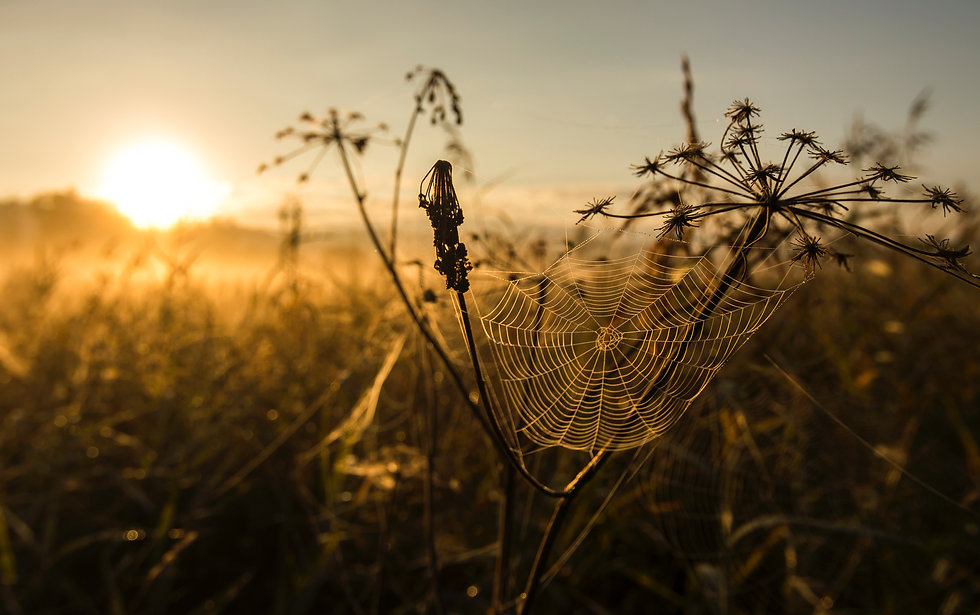 Image by Jan Huber