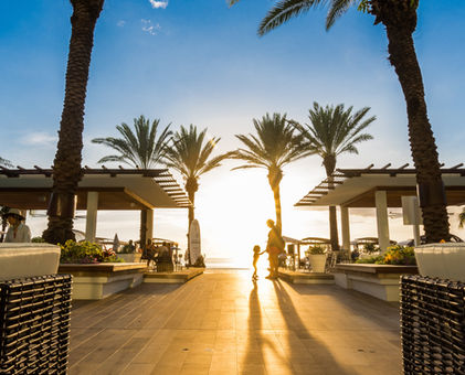 Grand Cayman walkway with palm trees 