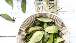 Les 5 clés de la naturopathie 