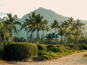 Bespoke Retreats & Wellness Immersions at Welcome to Wisdom