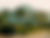 ESCAPISM X FIFTY PLUS | JUNE 2022