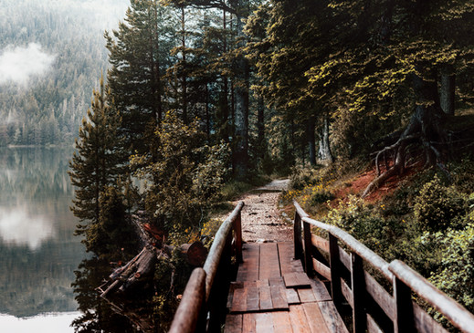 Image by Appolinary Kalashnikova