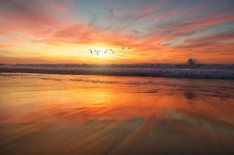 Image by frank mckenna