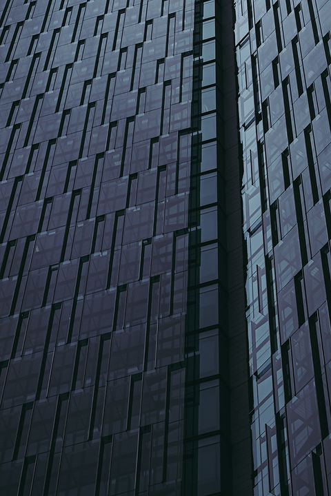 Image by Alejandro Barba