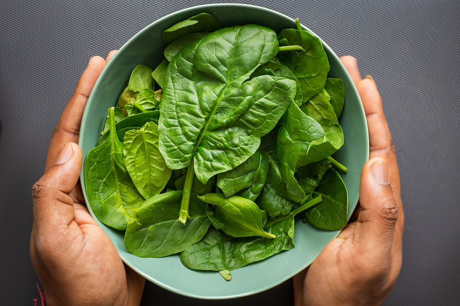 Non-heme Iron Rich food