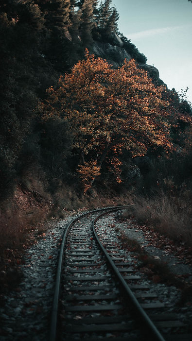 Image by Alex Kalligas