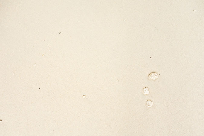 Image by Masaaki Komori