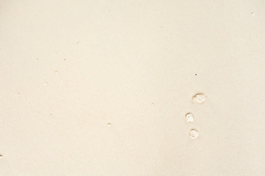 Image by Masaaki Komori