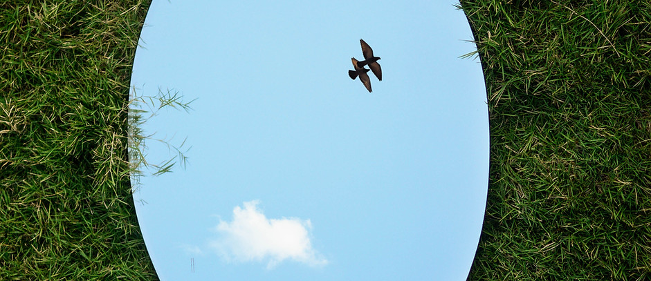 Image by Jovis Aloor