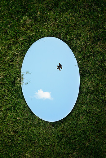 Image by Jovis Aloor