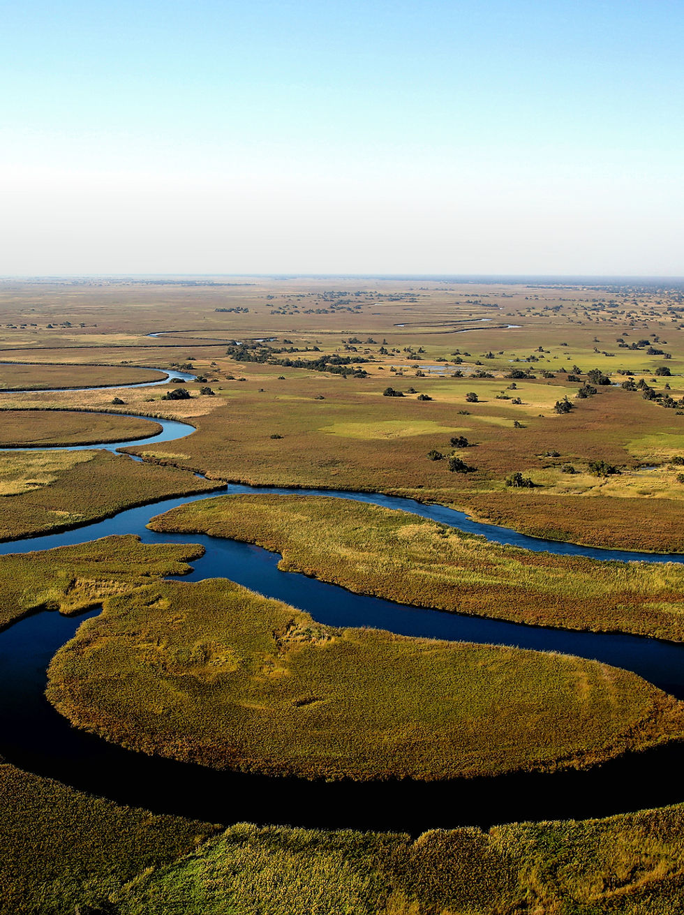 Image by Wynand Uys