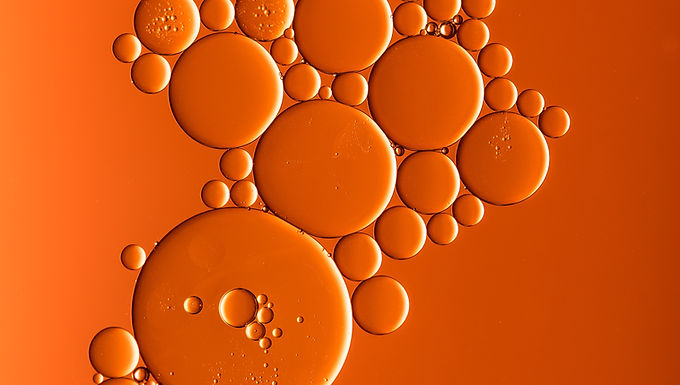 Jojoba
