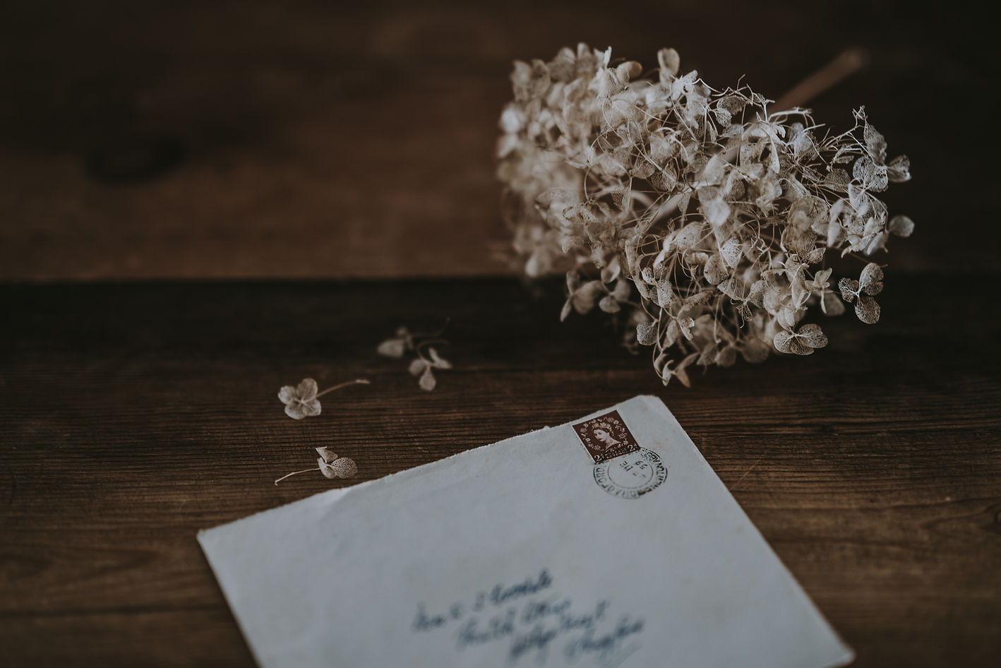 Image by Annie Spratt