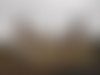 חוק הקרקעות החדש בפורטוגל – פתרון לדיור או סכנה לחקלאות?