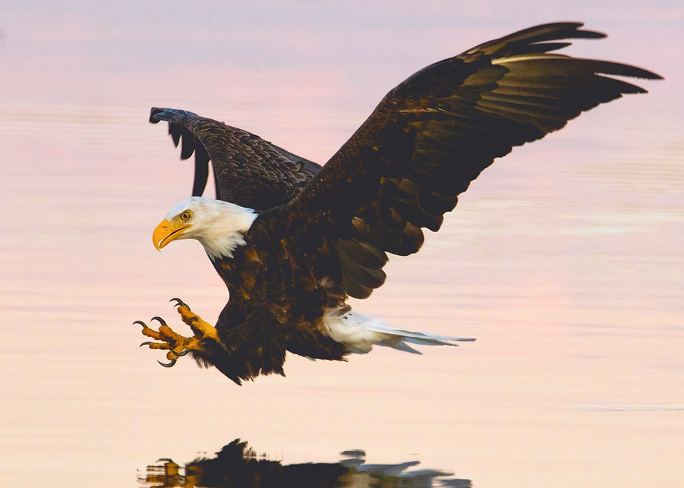 Managing General Agency