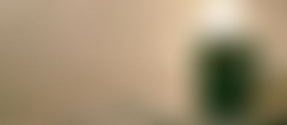 What If You Were Married To A Morning Glory?