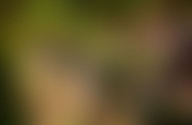 Virginia Wine Contributes $1.73 Billion to Virginia Economy