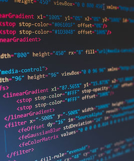 Image by Florian Olivo