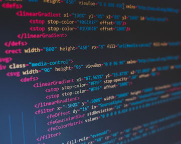 Image by Florian Olivo