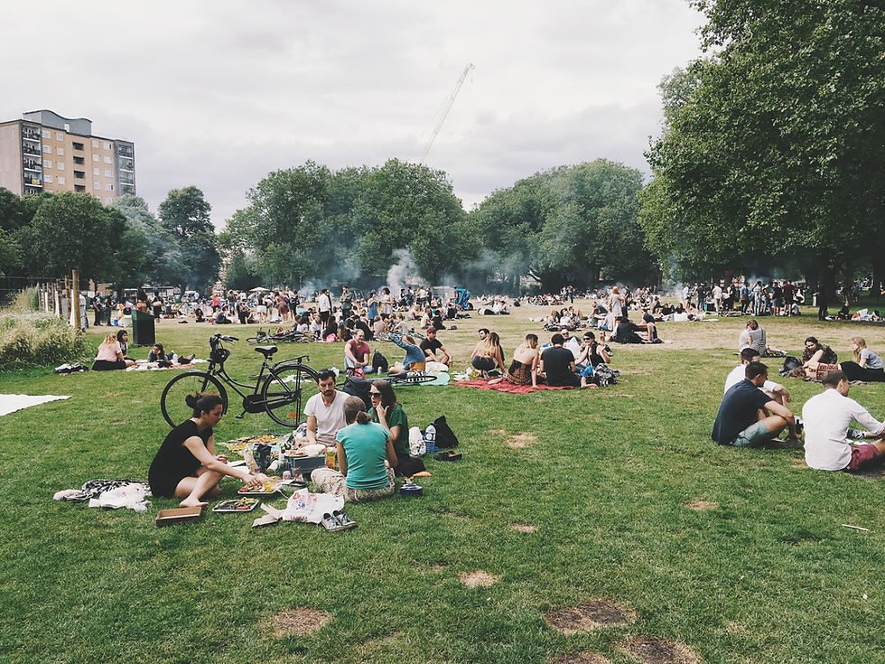 Summer Picnic
