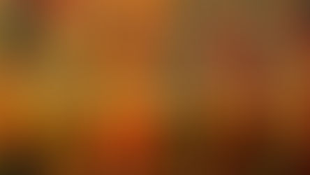 Fall & Winter 2020/2021 Licensing Exam Information NOW AVAILABLE