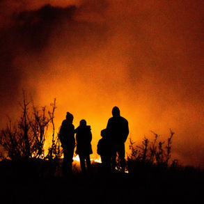 Canadians unified on forest protection, but divided on wildfire cause, poll suggests