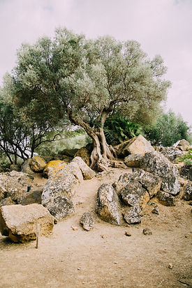 Image de Don Fontijn