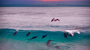 Use passion to make a difference