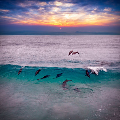 Image by Nick Dunn