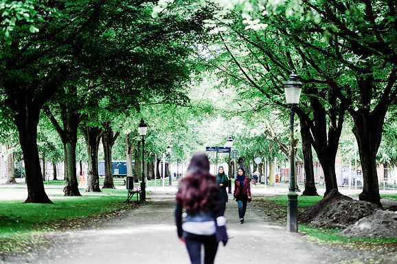 Steps you can take to brighten up a local walk