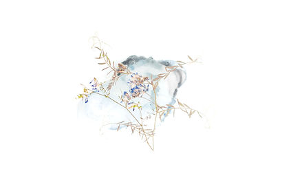 Image by Evie S.