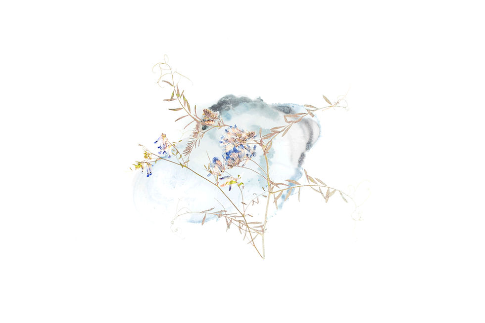 Image by Evie S.