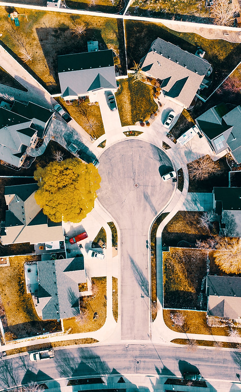 Image by Michael Tuszynski