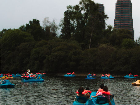 El mejor bosque urbano del mundo está en México