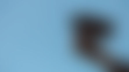 영상정보의 증거활용